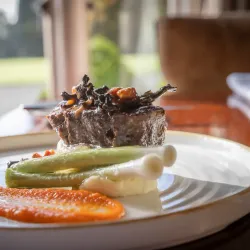 Lough Rynn Castle - Leitrim