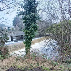 The Shannon-Erne Waterway - Leitrim