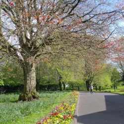 People's Park - Limerick