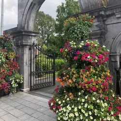 People's Park - Limerick