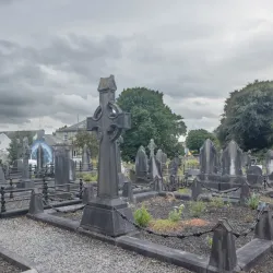 St. Mary's Cathedral - Limerick