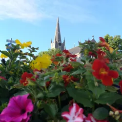 Listowel Farmers Market - Listowel