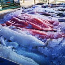 Listowel Farmers Market - Listowel