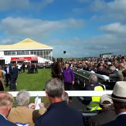 Listowel Racecourse - Listowel