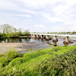 Listowel Racecourse - Listowel