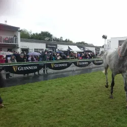 Listowel Racecourse - Listowel
