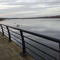 Foyle Maritime Festival - Londonderry (Derry)