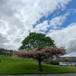 Waterside Heritage Centre - Londonderry (Derry)