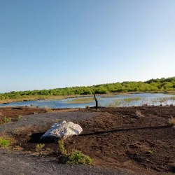 Corlea Trackway Visitor Centre - Longford