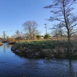 Longford Town Park - Longford