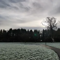 Longford Town Park - Longford