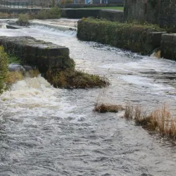 Longford Town Park - Longford
