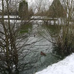 Longford Town Park - Longford