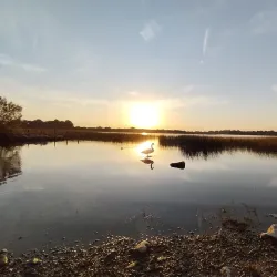Lough Ree - Longford