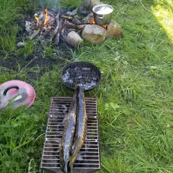 Lough Ree - Longford