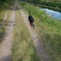 Royal Canal Greenway - Longford