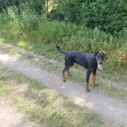 Royal Canal Greenway - Longford