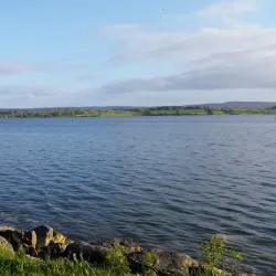 Loughrea Market House - Loughrea