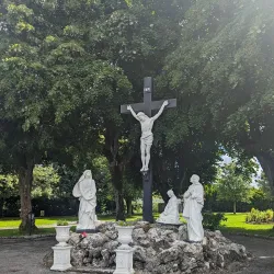 St. Brendan's Cathedral - Loughrea