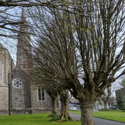 St. Brendan's Cathedral - Loughrea