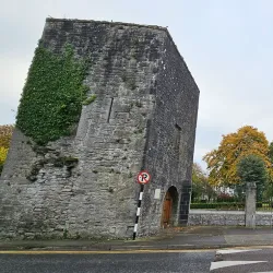 St. Brendan's Cathedral - Loughrea