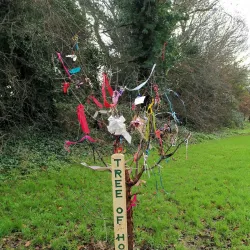 Griffeen Valley Park - Lucan