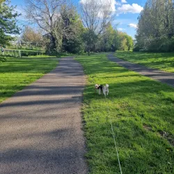 Griffeen Valley Park - Lucan