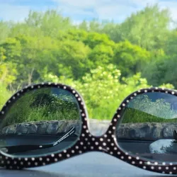 Lucan Demesne - Lucan