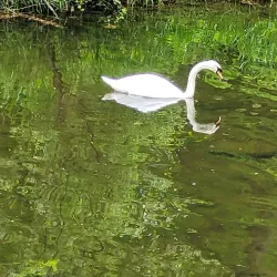 Lucan Demesne - Lucan