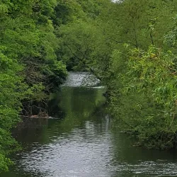 Lucan Demesne - Lucan