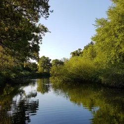 Lucan Demesne - Lucan