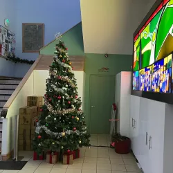 Lucan Library - Lucan