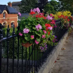 Malahide Village - Malahide