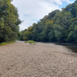 Blackwater River Walk - Mallow
