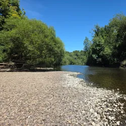 Blackwater River Walk - Mallow