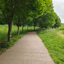 Blackwater River Walk - Mallow