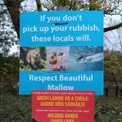 Blackwater River Walk - Mallow