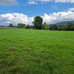 Mallow Castle - Mallow