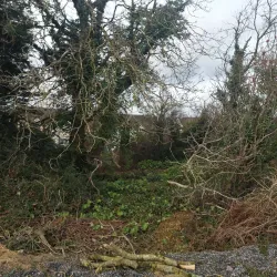 Mallow Golf Club - Mallow