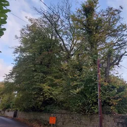 Mallow Golf Club - Mallow