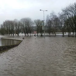 Rathduff Park - Mallow
