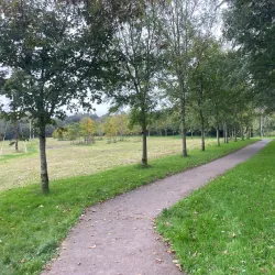 Rathduff Park - Mallow