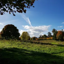 Rathduff Park - Mallow