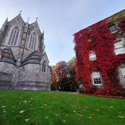 Carton Demesne - Maynooth