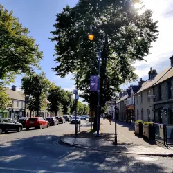 Carton Demesne - Maynooth