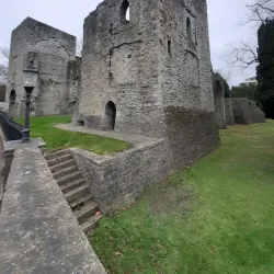 Carton Demesne - Maynooth
