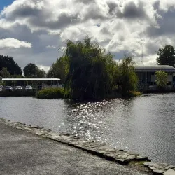 Carton Demesne - Maynooth