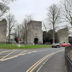 Carton Demesne - Maynooth