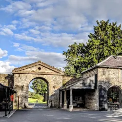 Carton House - Maynooth
