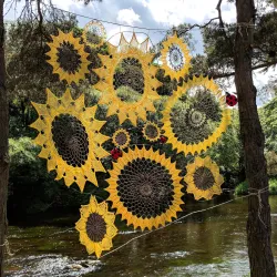 Liffey Linear Park - Maynooth